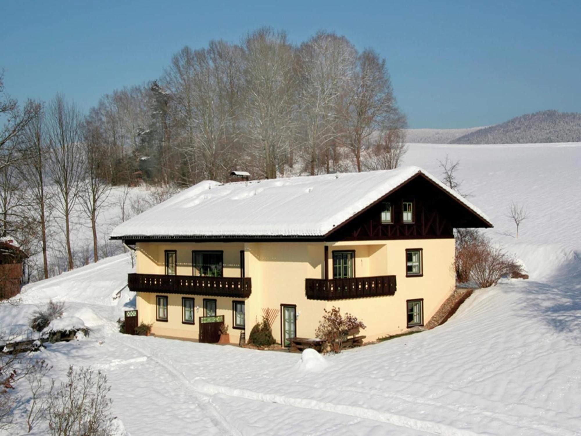 Spacious Apartment With Sauna Drachselsried Eksteriør billede